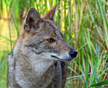 Walk in the Park / ***