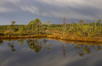 Reflexion der Herbst / ***