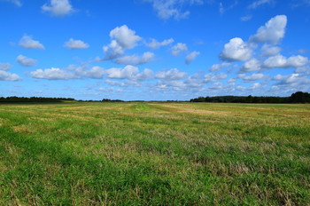 Landschaft / Dänemark