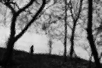 Zwei Einsamkeit / ***