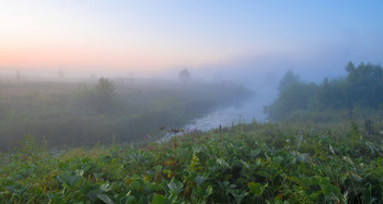 Morgennebel. / ***