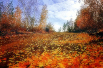 Straße zum Herbst / ***