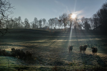 Sonnenbad / ***