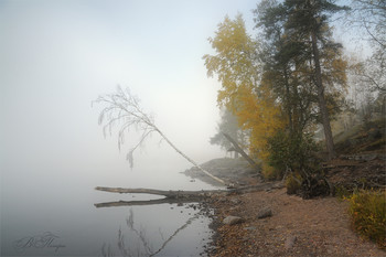 Morgen auf dem See / ***