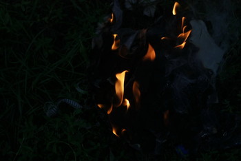 Flamme / Serednikivo-manor park, Moscow region, Russia