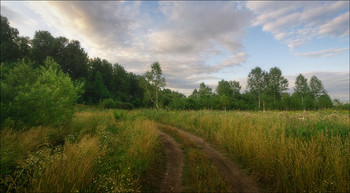 Forststraßen / ***