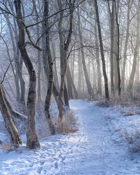 Sonnenaufgang über dem Fluss / ***