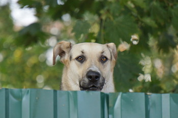 &nbsp; / http://wikimapia.org/#lang=ru&amp;lat=55.833494&amp;lon=37.538717&amp;z=18&amp;m=ys