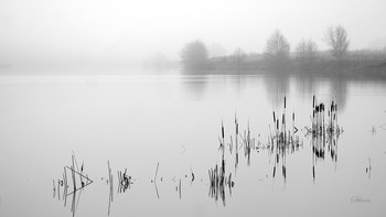 Bewölkter Morgen. / ***