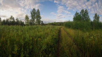 Forststraßen / ***