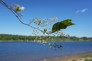 Frühling Geschichte / ***