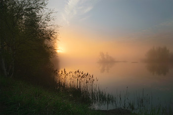 &nbsp; / -------------------