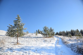 Winterwanderung / ...