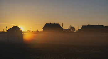 Ginger Sonne / ***