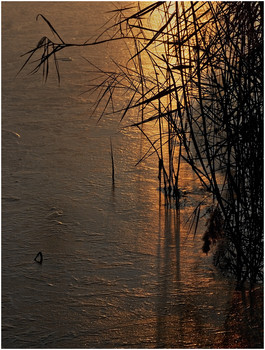 Bei Sonnenuntergang .... / *-*-*