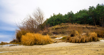 Winterlandschaft / ***