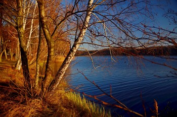 Dezembermorgen / ***