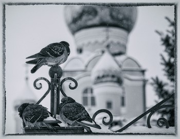 &nbsp; / http://www.youtube.com/watch?v=55qtlyxaUW4