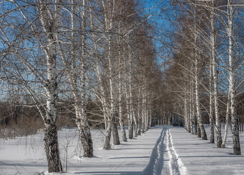 December ... Alley ... / ***