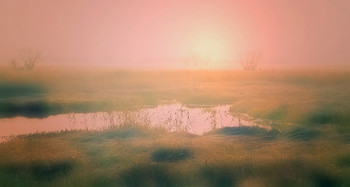 Auf der Wiese ... / ***