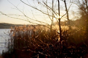 Herbstnebel / ***