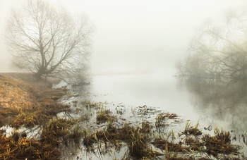 nebligen Herbst / ***