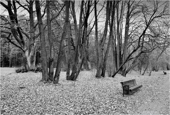 Im Herbst Park / ***