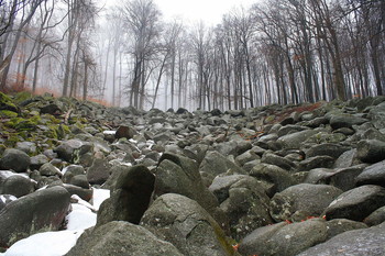 Natur / Odenwald / Hessen