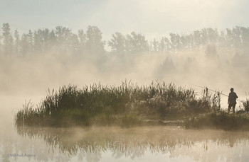 Catcher Nebel / ***