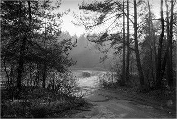 Herbstlicht / ***