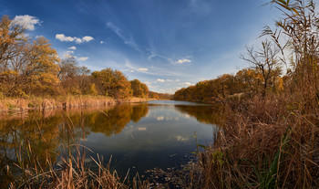 Forest Lake / ***