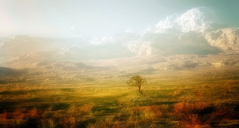 Am Fuße der Berge ... / ***