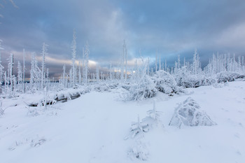 Winterwonderland / Winterlandschaft am Plöckenstein