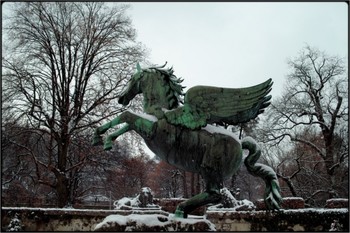 frozen pegasus / in mirabellgarten, salzburg