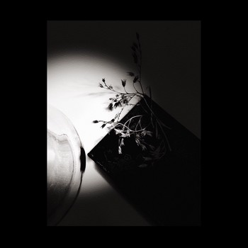 Nocturne / https://youtu.be/SVbvO3gNIU0