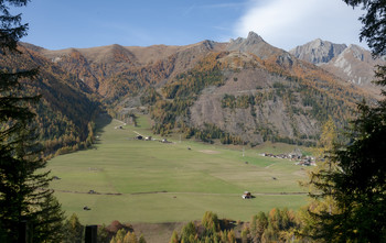 Lichtung / ...