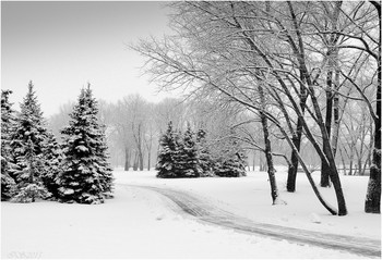 Winter / ***