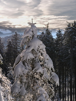 Sunshine after snowing / The first snow covered everything