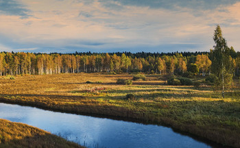 Goldener Herbst / ***