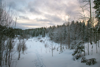 Winterlandschaft / ***