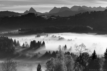 Herbst / Am Ratenpass, ZG/CH