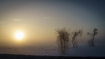 Winternebel / ***