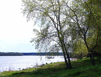 Frühling auf der Straße Zarechnoj / ***