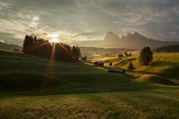 Sunrise at Alpe di Siusi / The Alpe di Siusi is a Dolomite plateau located in Italy, in South Tyrol, within the territory of the municipality of Castelrotto.
From the alp you can enjoy a 360° panoramic view; from the north in a clockwise direction: the Sass de Putia (2,873 m), the Gruppo delle Odle e del Puez (3,025 m), the Gran Cir, the Gruppo del Sella (3,152 m), the Sassolungo (3.181 m) and Sassopiatto (2,995 m), the Marmolada (3,343 m), the San Martino shovels, the Vajolet towers, the Catinaccio group (2,981 m), with the summit of the Catinaccio d'Antermoia (3,002 m), and the Sciliar (2,450 m).