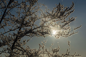 Winter / ***