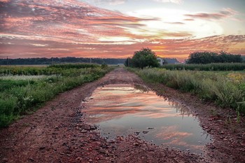 Nach dem Regen / ***