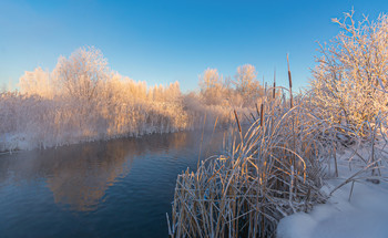 Farben Wintermorgen / ***