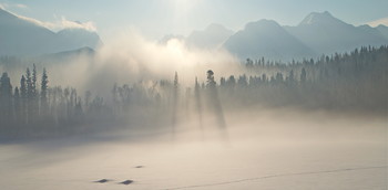 Herbstnebel / ***