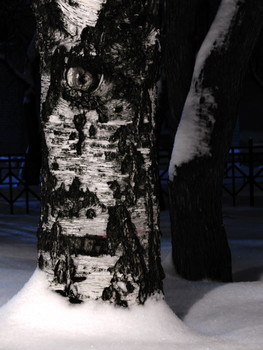 ,tp / 2018-01-09-13-C0-044(81)-