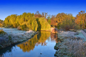 Morning frost enchants the landscape / Es gibt nur einen Tag bei uns in der Region, der die Voraussetzungen für so ein Bild bietet und das muss man ausnutzen